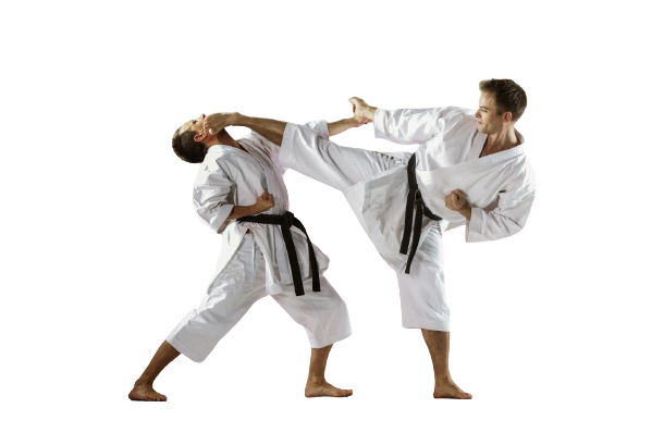 ekipirovka-karate
